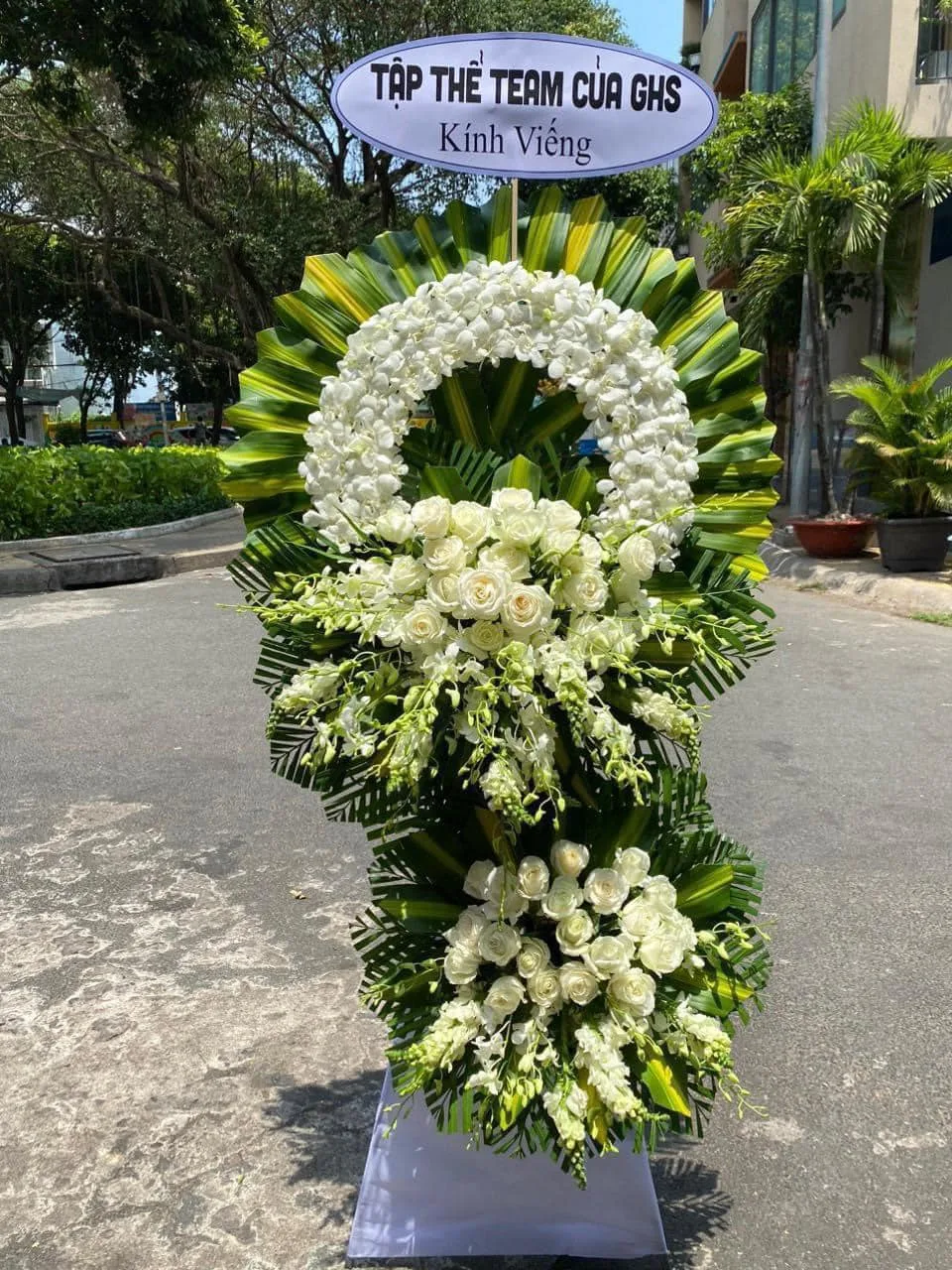 ý nghĩa hoa lan trắng