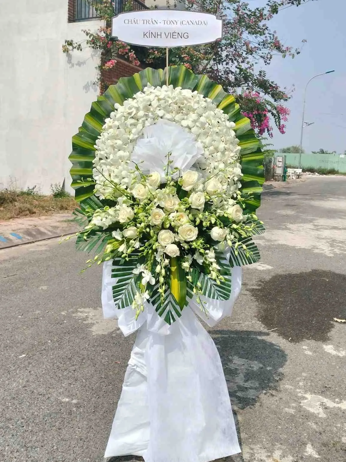 hoa viếng an giang